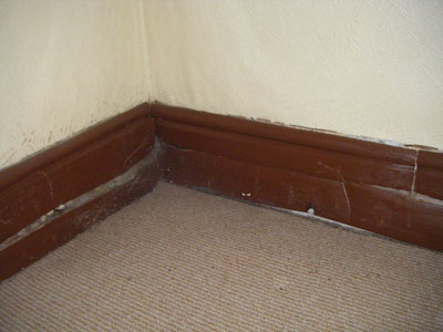 Skirting board affected by dry rot